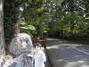 pa272131_thumb.jpg