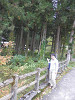 pa272220_thumb.jpg