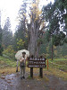 pa282261_thumb.jpg