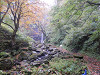 pa282278_thumb.jpg