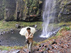 pa282293_thumb.jpg