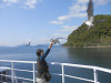 p5080567_thumb.jpg