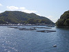 p5080576_thumb.jpg