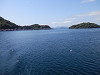 p5080587_thumb.jpg