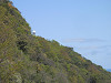 p5080594_thumb.jpg