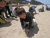p5080624_thumb.jpg