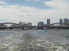 p5190052_thumb.jpg