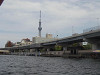 p5190057_thumb.jpg