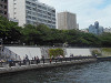 p5190064_thumb.jpg