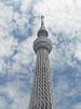 p5190072_thumb.jpg