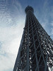 p5190100_thumb.jpg