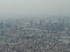 p5190114_thumb.jpg