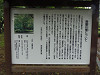 p5200162_thumb.jpg