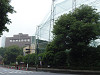 p5200164_thumb.jpg