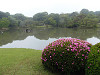 p5200218_thumb.jpg
