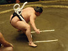 p5200233_thumb.jpg