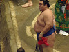 p5200254_thumb.jpg