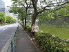 p5210334_thumb.jpg
