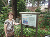 p5210347_thumb.jpg