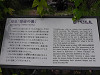 s1020018_thumb.jpg