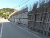 p9180065_thumb.jpg