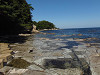 p9190121_thumb.jpg
