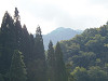 pa140009_thumb.jpg
