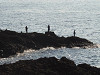 pa140053_thumb.jpg