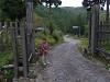 pa150075_thumb.jpg