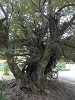 pa150088_thumb.jpg