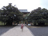pa150090_thumb.jpg