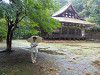 pa160155_thumb.jpg