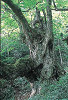 pa160156-2_thumb.jpg