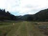 pa170232_thumb.jpg