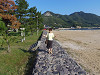 pa280010_thumb.jpg