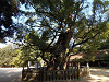 pa280024_thumb.jpg