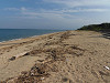 pa280057_thumb.jpg
