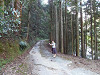 pa290064_thumb.jpg