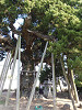 pa290066_thumb.jpg