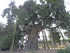 pa290069_thumb.jpg