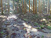 pa290078_thumb.jpg