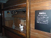 pa290094_thumb.jpg
