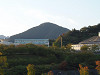 pa300116_thumb.jpg