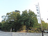 pa300176_thumb.jpg