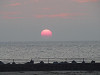 pa310238_thumb.jpg