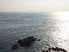 pb010294_thumb.jpg