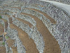 pb030360_thumb.jpg