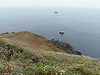 pb030396_thumb.jpg
