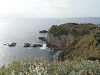 pb040422_thumb.jpg