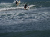 pb040443_thumb.jpg
